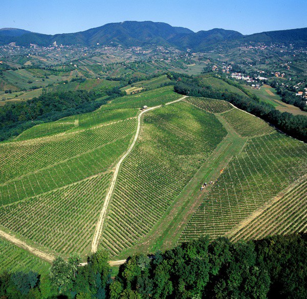 plesic 26panoramajapetic