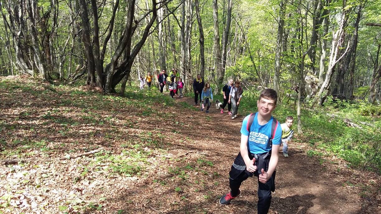 na putu prema vrhu 1