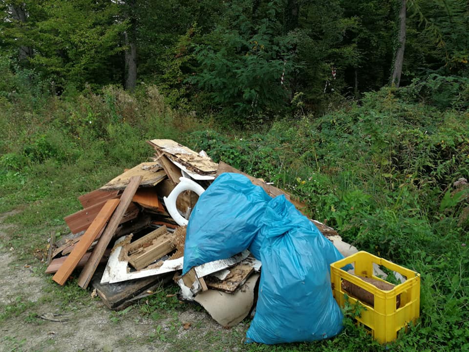 41728245 1820059551443441 2186674228143587328 n